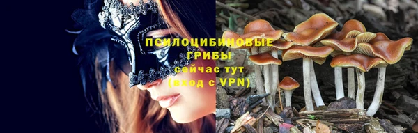 круглые Аркадак