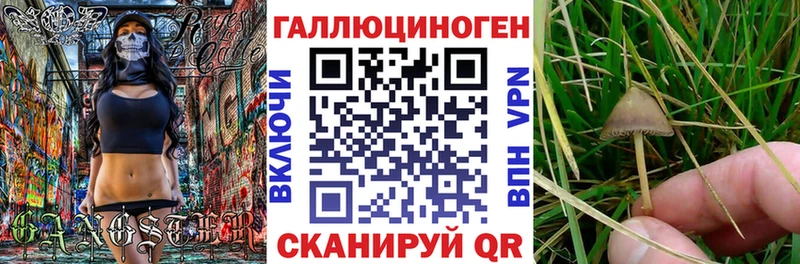 наркошоп  Прохладный  Псилоцибиновые грибы мухоморы 